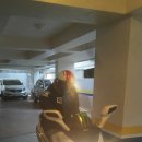 불광스크린골프 이미지