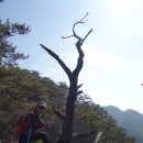 한국의 100대 명산인 금수산(1,016m) 등산 후기(2018. 03. 06.) 이미지