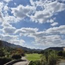 엘리시안 호텔 이미지