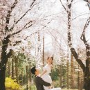 내곡동451 이미지