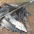 동산낚시터 이미지