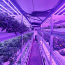 용수농장 이미지