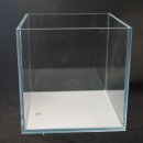 자연가습 이끼 테라리엄 이미지