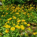 주천농장 이미지