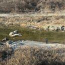 방산면 송현리 캠핑장 이미지