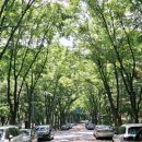 강남 개포 아파트 희소성 높은 원목마루코팅 및 색상 복원 시공 후기