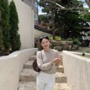 [헤이즐모드] 업데이트 미리보기 :)