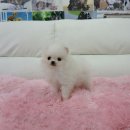 오목교역 6번출구 이미지