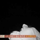 하늘.별민박 이미지