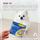 건강백세약국 | 강아지 심장사상충 예방약 넥스가드 | 인천 이음카드 20% 혜택 구매 후기
