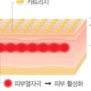 스킨테라피 이미지