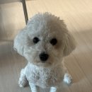 둥글리다 이미지