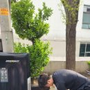 홍군상사 이미지