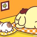 찹찹케이크