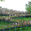 하늘공원 화장실 이미지