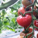 연우농장 이미지