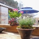 청풍한지체험장 이미지