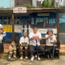 1인.용피자 광교중흥점 | 밀린 주간일상 … 9월 유잼 한달일상 ദ്ദി(｡•̀ ᗜ<) (1)