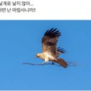 날개 이미지