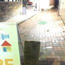 로바타야마 | 대구 동인동 술집 ㅣ 로바타야마 내돈내산 찐 후기