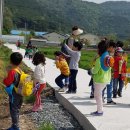 함평초등학교 병설유치원 이미지