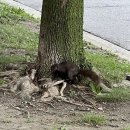 거일민박 이미지