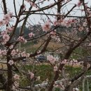 초원의집 민박 이미지