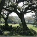 청수리 농어촌체험마을 이미지