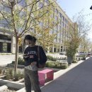 손나은 카카오 검색결과