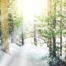 INTHELIGHT