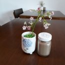 청평터미널 이미지