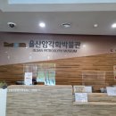 울산암각화박물관 | 울주 &lt;반구대암각화&gt;/ &lt;울산암각화 박물관&gt; 방문 후기
