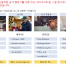 제이디에스컴퍼니 이미지