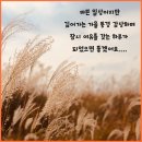 제이와이정보통신 이미지
