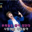 제56회 박서진 노래모음 이미지