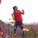 카밋(calm it)