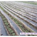 노고지리펜션 이미지