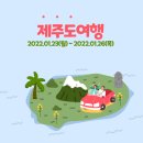 빌라메르시 | [3박 4일 제주도 여행] 12명 대가족 제주도 여행 일정