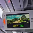 오타코 티스토리