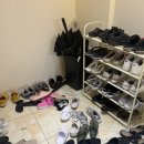 댕린이 보호구역 이미지