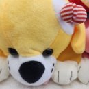 예담 세탁 이미지