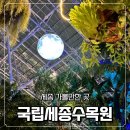 호롱불마을 | 국립세종수목원 야간개장 한여름밤의 고흐전 후기(ft. 추석 무료관람 야간개장 일정 확인)