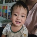 센토키즈 | 센토 주니어 어린이고불소치약으로 우리 하준이 충치 안녕! 사과향 키즈치약으로 즐거운 양치 습관 만들기!