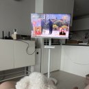옥진농장 네이버블로그