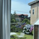 제주 플로라 | [제주][제주 플로라] 12개월 쌍둥이 돌 아기들 데리고 제주 여행 6박 7일🌴, 제주 감성 숙소 추천