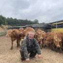 고흥-1호 이미지