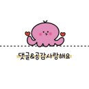 어나더 제주 이미지