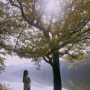 호반펜션&가든 이미지