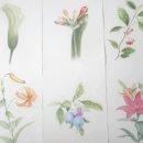 보태니컬아트 | [내돈내산] 천안 취미미술 다담공방 보태니컬아트 수업 후기