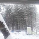 이미순농장 이미지